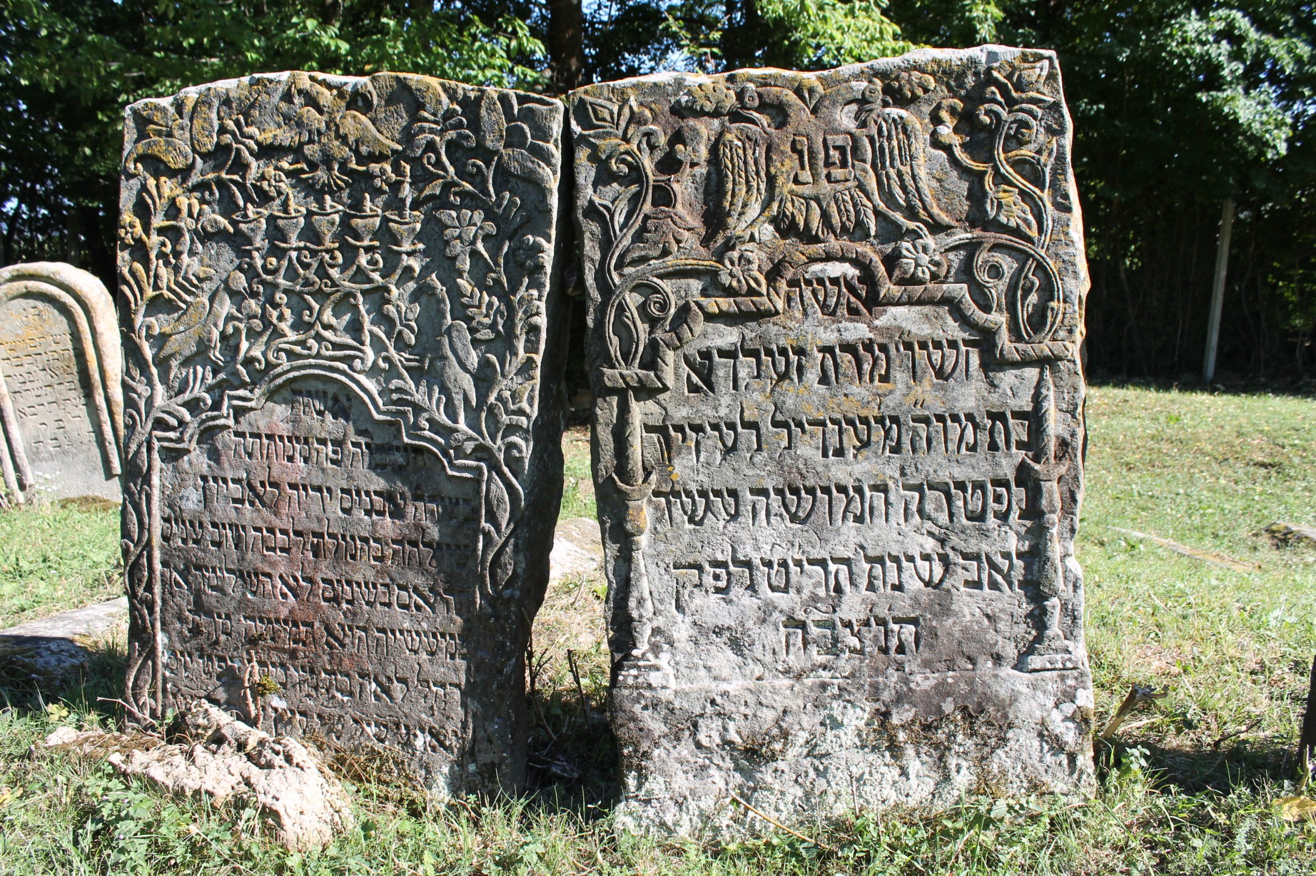 Cimitirul Evreiesc Moinești