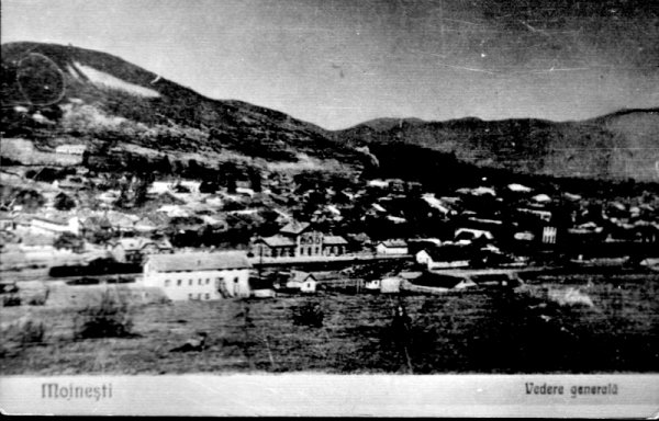 Scurt istoric despre mun. Moinești